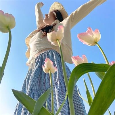 双面艾莉丝